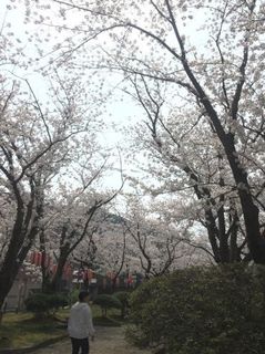 2018-04-02 11.26.44_s.jpg
