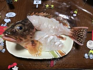 2018-06-04 20.26.17_s.jpg