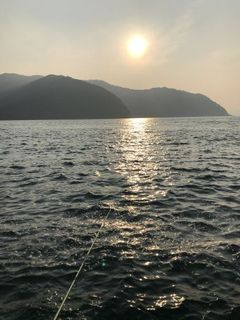 2018-07-17 17.54.44_s.jpg