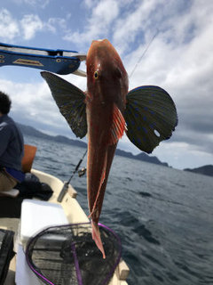 2019-03-21 13.46.33_s.jpg