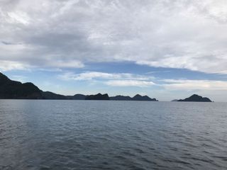 ʐ^ 2018-06-18 7 31 44_s.jpg