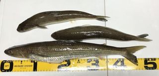 写真 2018-06-19 17 49 36_s.jpg